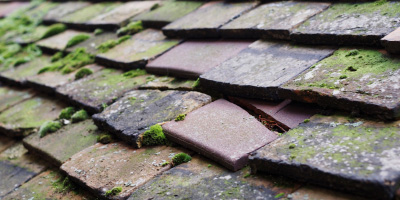 California roof repair costs